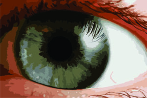 An image of an eye.